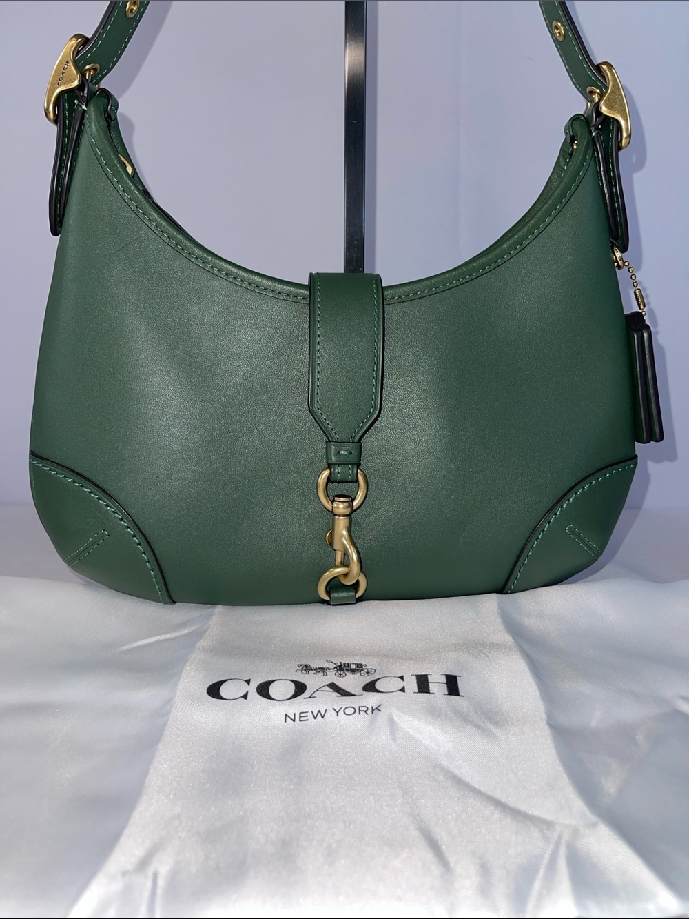 Coach CW642 Hamptons Hobo 2005 Limited Re-Edition Green Leather